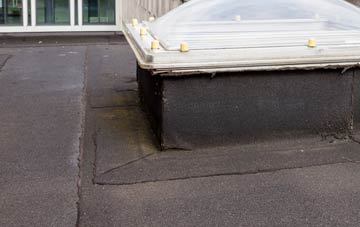 disadvantages of Ortner flat roofs