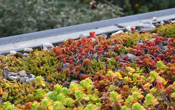 the cost of Ortner green roof installation